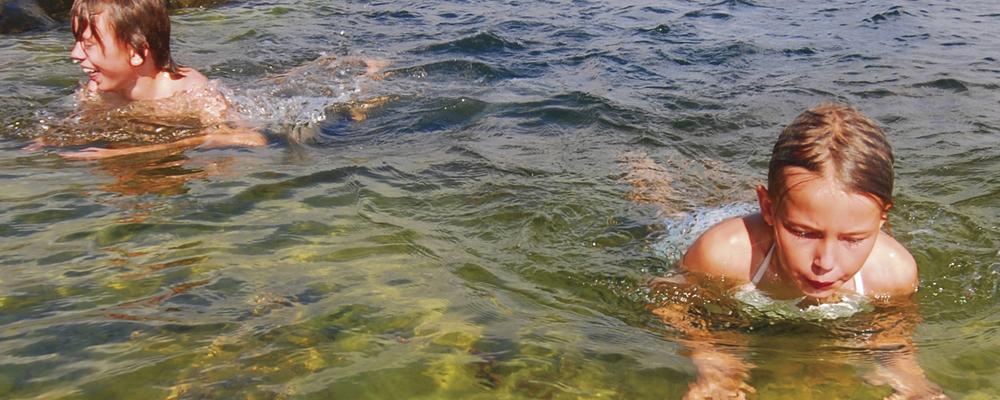 Barn som undersöker grönslick i vattenbryn i Östersjön