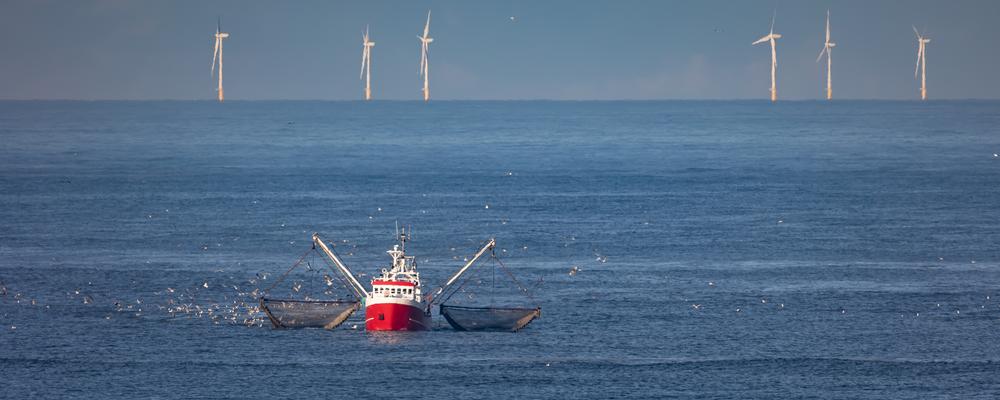 Fiskebåt och vindkraftverk till havs