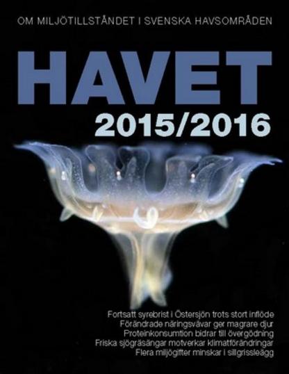 Havet-rapporten